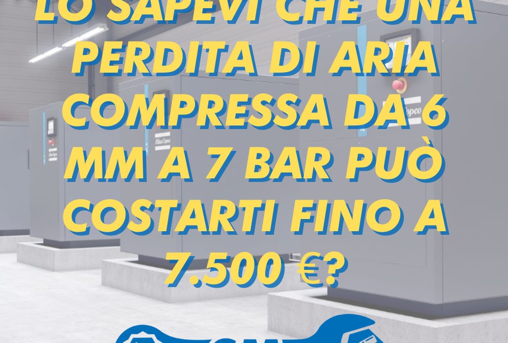Lo sapevi che una perdita di aria compressa da 6 mm a 7 bar può costarti fino a 7.500 €?